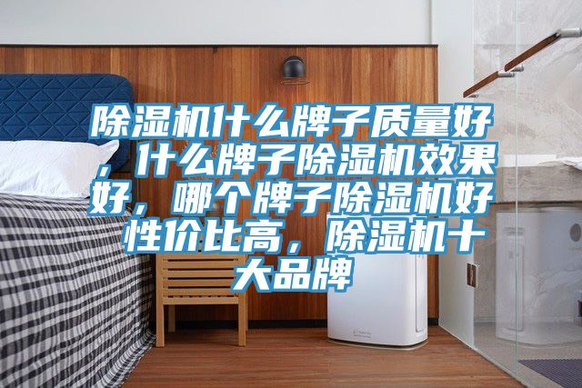 除濕機(jī)什么牌子質(zhì)量好，什么牌子除濕機(jī)效果好，哪個(gè)牌子除濕機(jī)好 性價(jià)比高，除濕機(jī)十大品牌