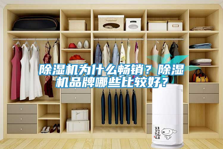 除濕機為什么暢銷？除濕機品牌哪些比較好？