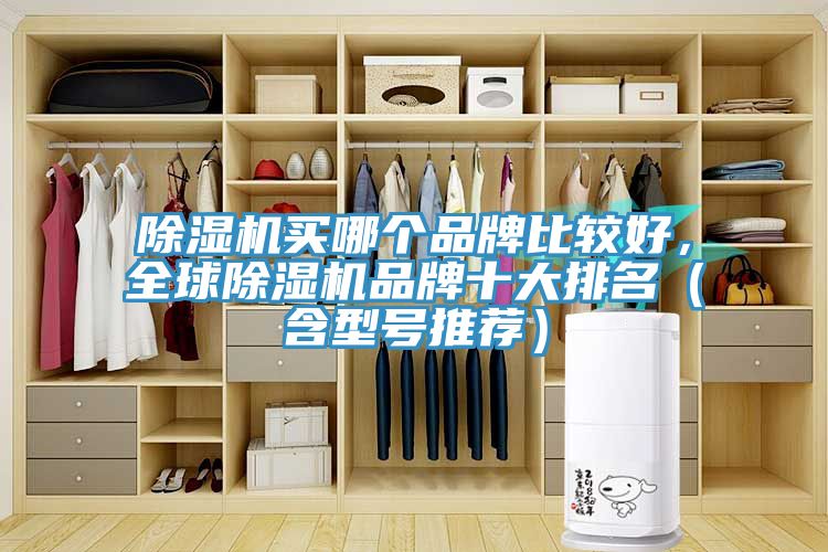 除濕機買哪個品牌比較好，全球除濕機品牌十大排名（含型號推薦）