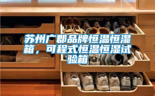 蘇州廣郡品牌恒溫恒濕箱，可程式恒溫恒濕試驗(yàn)箱