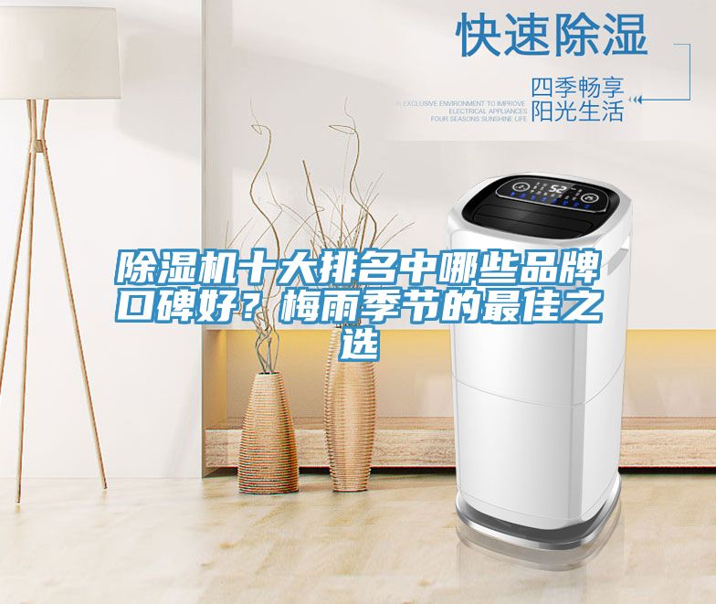 除濕機十大排名中哪些品牌口碑好？梅雨季節(jié)的最佳之選