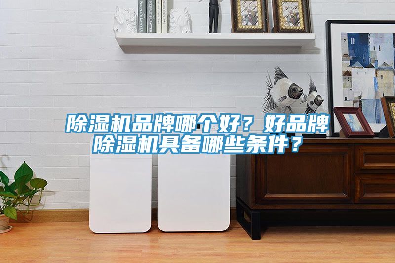 除濕機(jī)品牌哪個(gè)好？好品牌除濕機(jī)具備哪些條件？