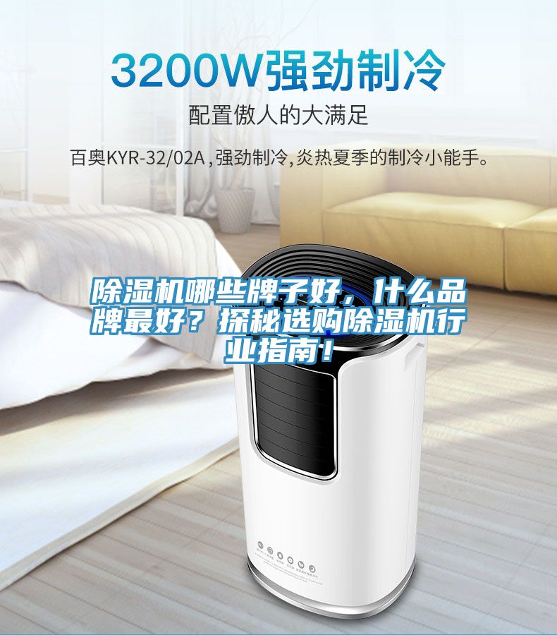 除濕機(jī)哪些牌子好，什么品牌最好？探秘選購除濕機(jī)行業(yè)指南！
