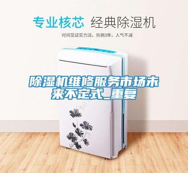 除濕機維修服務(wù)市場未來不定式_重復(fù)