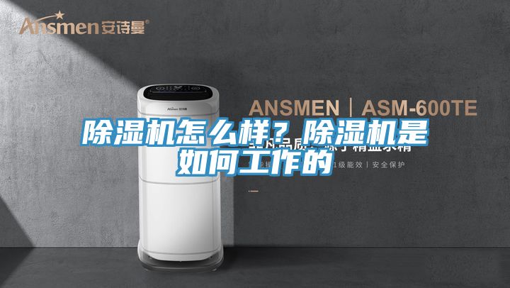 除濕機怎么樣？除濕機是如何工作的