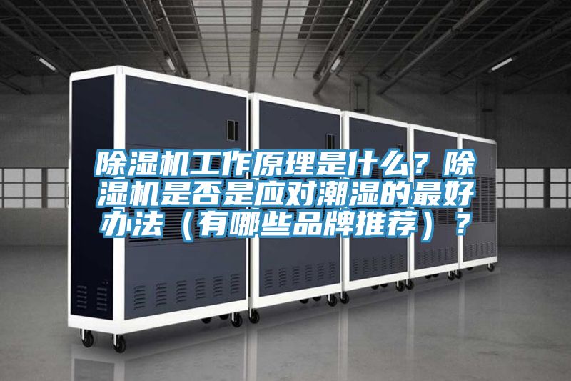 除濕機(jī)工作原理是什么？除濕機(jī)是否是應(yīng)對(duì)潮濕的最好辦法（有哪些品牌推薦）？
