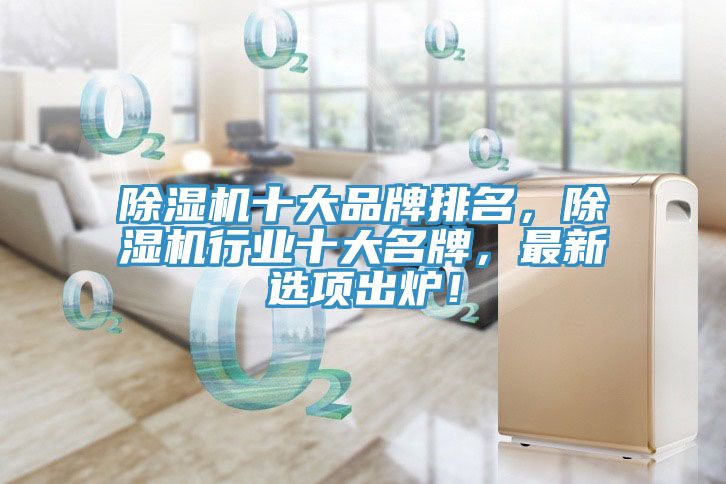 除濕機(jī)十大品牌排名，除濕機(jī)行業(yè)十大名牌，最新選項(xiàng)出爐！