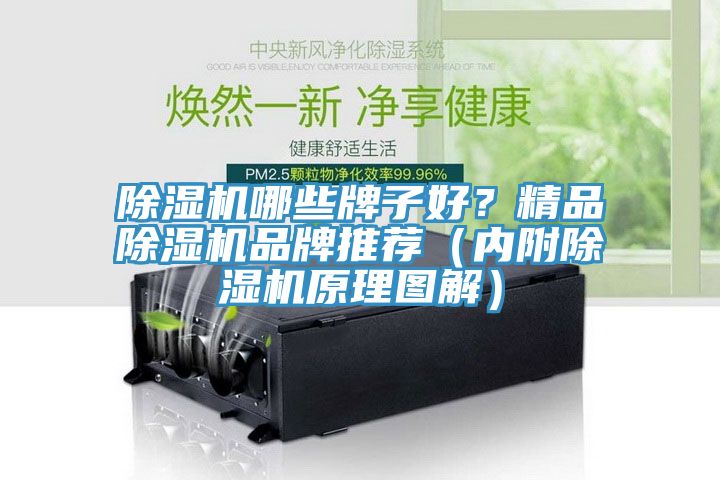 除濕機(jī)哪些牌子好？精品除濕機(jī)品牌推薦（內(nèi)附除濕機(jī)原理圖解）