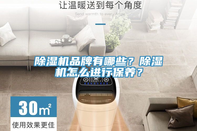 除濕機品牌有哪些？除濕機怎么進行保養(yǎng)？