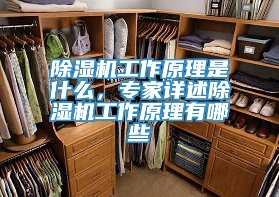 除濕機工作原理是什么，專家詳述除濕機工作原理有哪些
