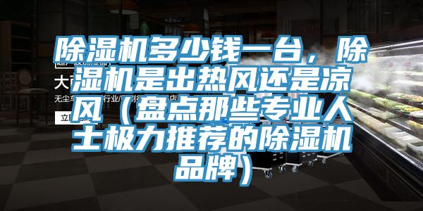除濕機(jī)多少錢一臺，除濕機(jī)是出熱風(fēng)還是涼風(fēng)（盤點那些專業(yè)人士極力推薦的除濕機(jī)品牌）