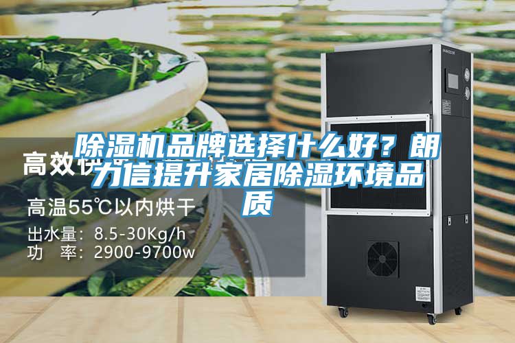 除濕機品牌選擇什么好？朗力信提升家居除濕環(huán)境品質(zhì)