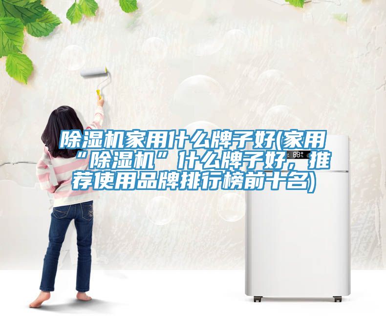 除濕機(jī)家用什么牌子好(家用“除濕機(jī)”什么牌子好，推薦使用品牌排行榜前十名)