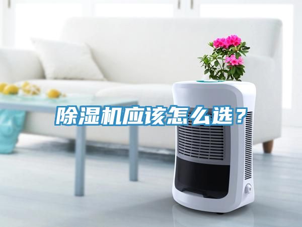 除濕機(jī)應(yīng)該怎么選？