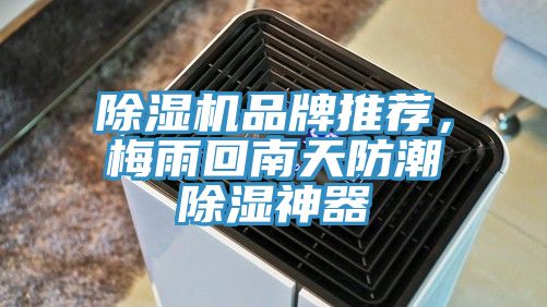 除濕機品牌推薦，梅雨回南天防潮除濕神器