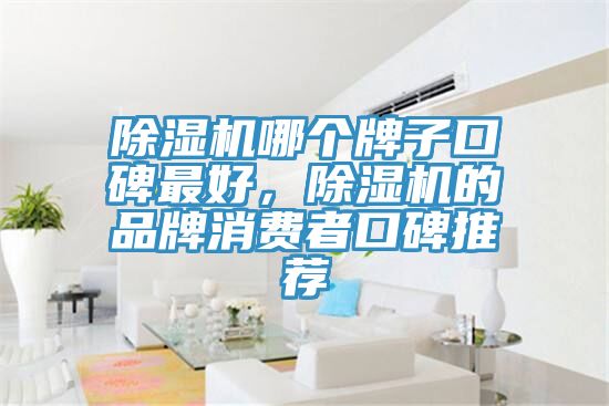 除濕機哪個牌子口碑最好，除濕機的品牌消費者口碑推薦