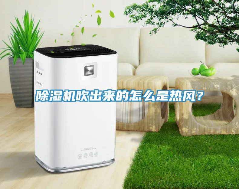 除濕機吹出來的怎么是熱風？