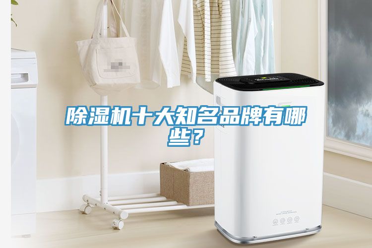 除濕機十大知名品牌有哪些？