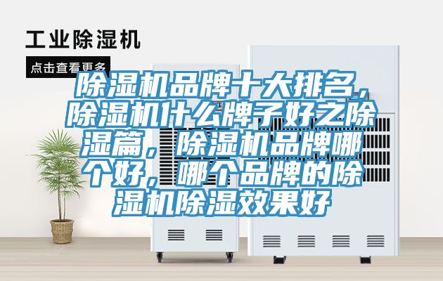 除濕機(jī)品牌十大排名，除濕機(jī)什么牌子好之除濕篇，除濕機(jī)品牌哪個(gè)好，哪個(gè)品牌的除濕機(jī)除濕效果好