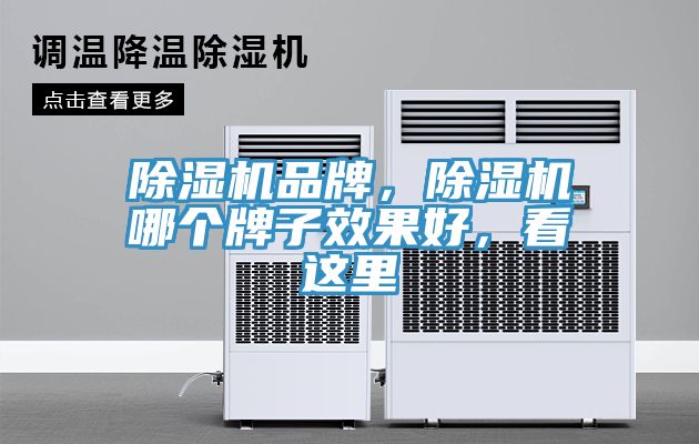 除濕機品牌，除濕機哪個牌子效果好，看這里