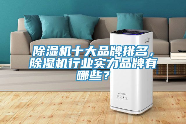 除濕機(jī)十大品牌排名，除濕機(jī)行業(yè)實(shí)力品牌有哪些？