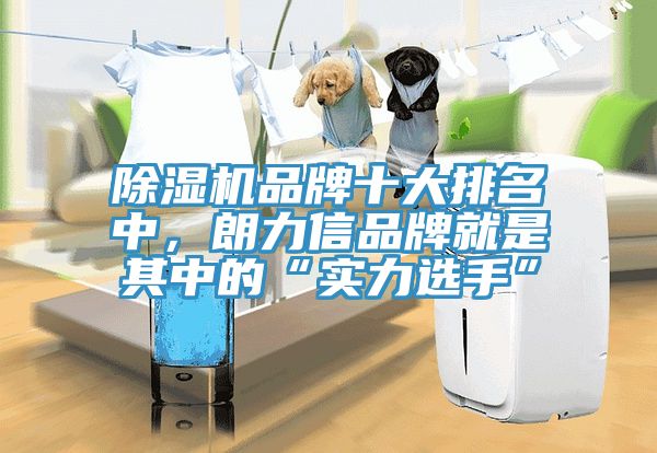 除濕機品牌十大排名中，朗力信品牌就是其中的“實力選手”