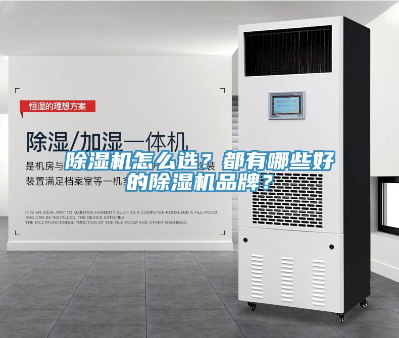 除濕機(jī)怎么選？都有哪些好的除濕機(jī)品牌？