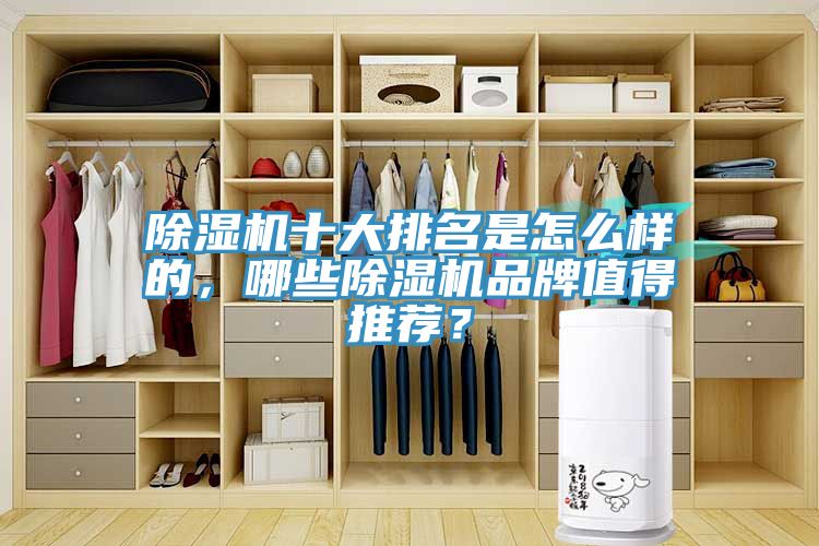 除濕機十大排名是怎么樣的，哪些除濕機品牌值得推薦？