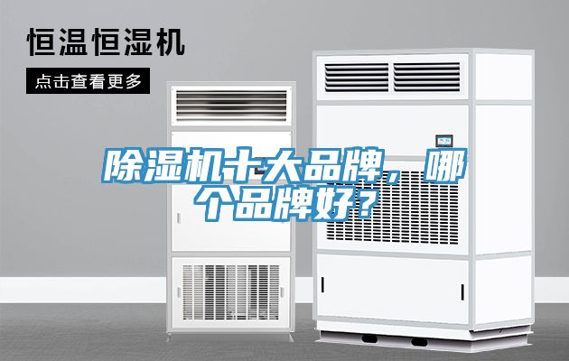 除濕機十大品牌，哪個品牌好？
