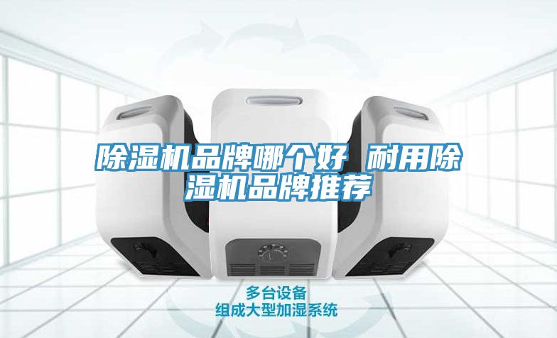 除濕機(jī)品牌哪個(gè)好 耐用除濕機(jī)品牌推薦