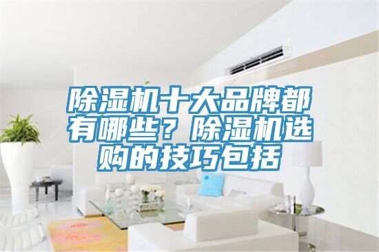 除濕機十大品牌都有哪些？除濕機選購的技巧包括