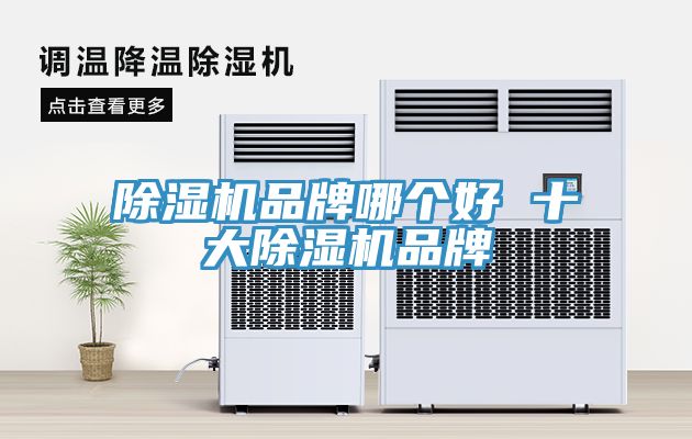 除濕機(jī)品牌哪個(gè)好 十大除濕機(jī)品牌