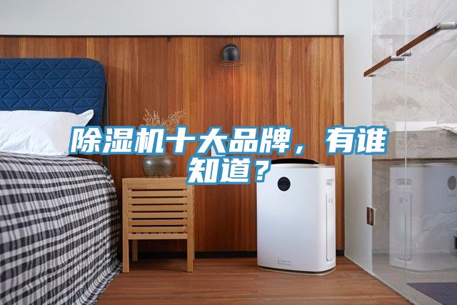 除濕機十大品牌，有誰知道？