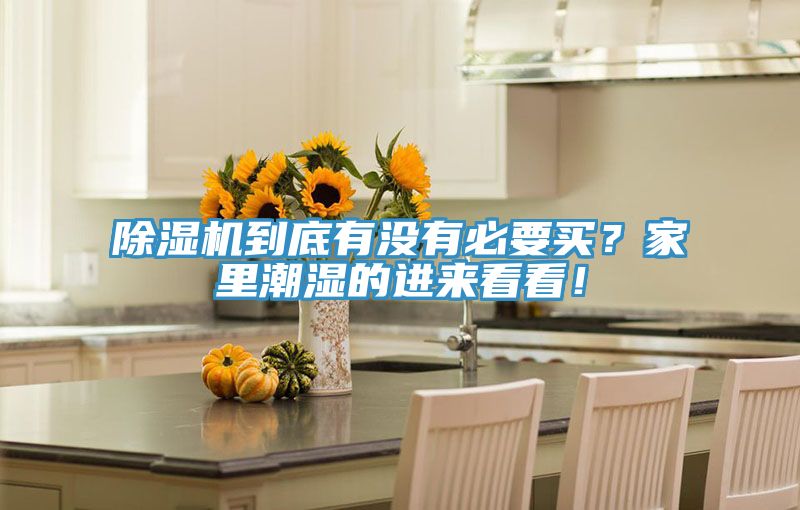 除濕機(jī)到底有沒有必要買？家里潮濕的進(jìn)來看看！