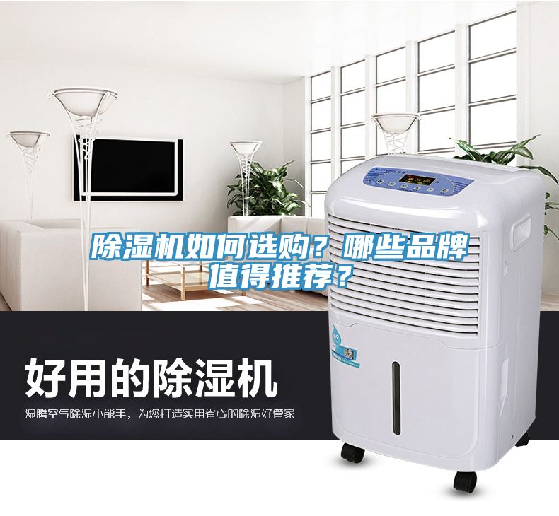 除濕機(jī)如何選購？哪些品牌值得推薦？