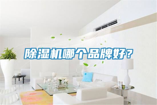 除濕機哪個品牌好？