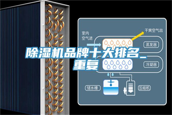 除濕機品牌十大排名_重復(fù)