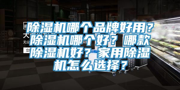除濕機哪個品牌好用？除濕機哪個好？哪款除濕機好？家用除濕機怎么選擇？