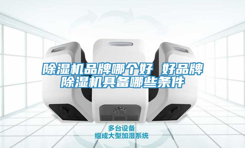 除濕機(jī)品牌哪個(gè)好 好品牌除濕機(jī)具備哪些條件
