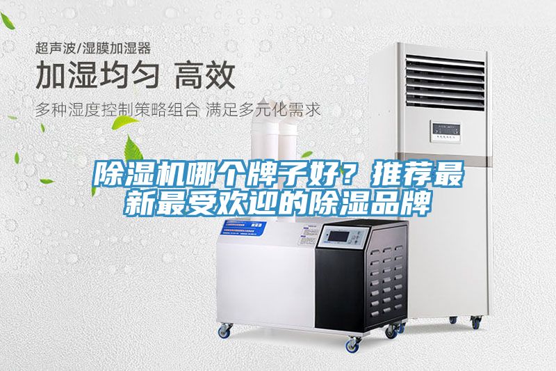 除濕機(jī)哪個(gè)牌子好？推薦最新最受歡迎的除濕品牌