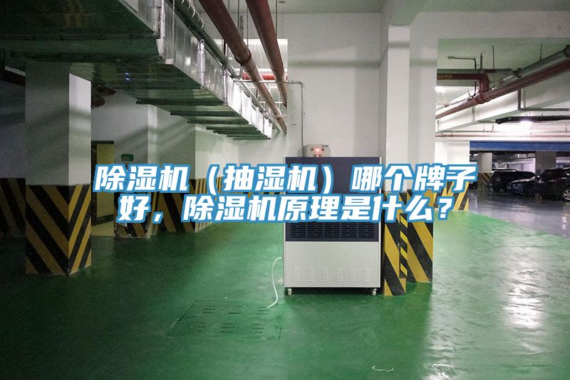 除濕機(jī)（抽濕機(jī)）哪個(gè)牌子好，除濕機(jī)原理是什么？
