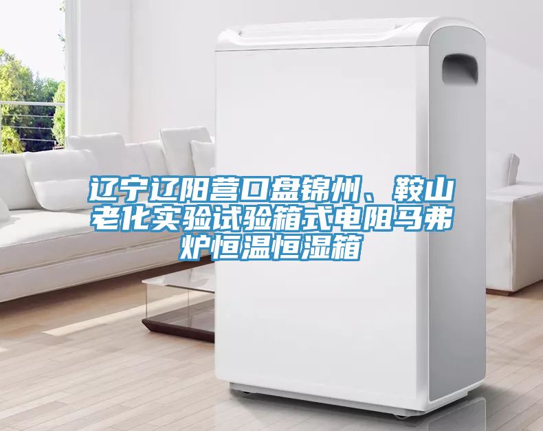 遼寧遼陽營口盤錦州、鞍山老化實驗試驗箱式電阻馬弗爐恒溫恒濕箱