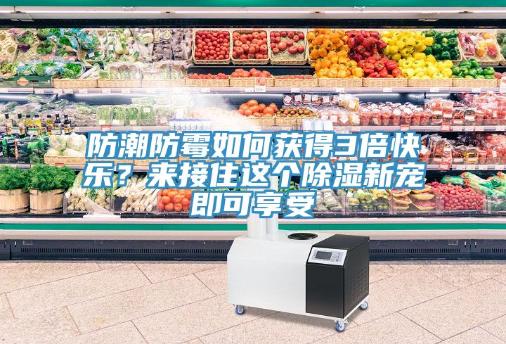 防潮防霉如何獲得3倍快樂？來接住這個除濕新寵即可享受