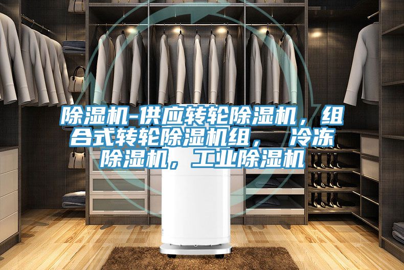 除濕機-供應(yīng)轉(zhuǎn)輪除濕機，組合式轉(zhuǎn)輪除濕機組， 冷凍除濕機，工業(yè)除濕機