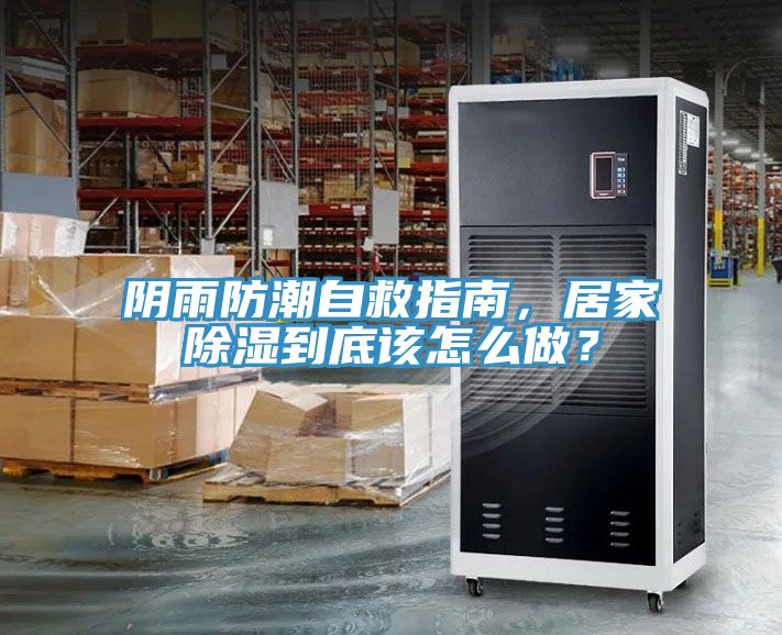 陰雨防潮自救指南，居家除濕到底該怎么做？