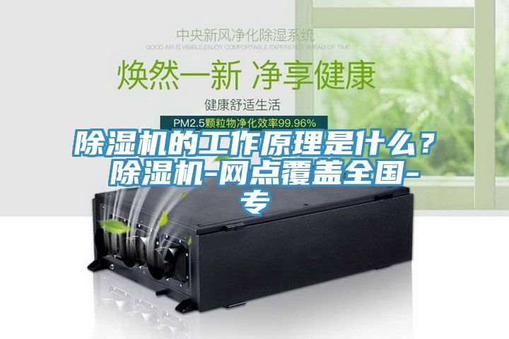除濕機(jī)的工作原理是什么？ 除濕機(jī)-網(wǎng)點(diǎn)覆蓋全國(guó)-專