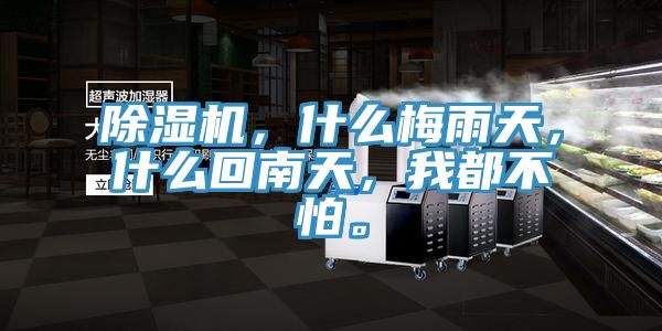 除濕機(jī)，什么梅雨天，什么回南天，我都不怕。