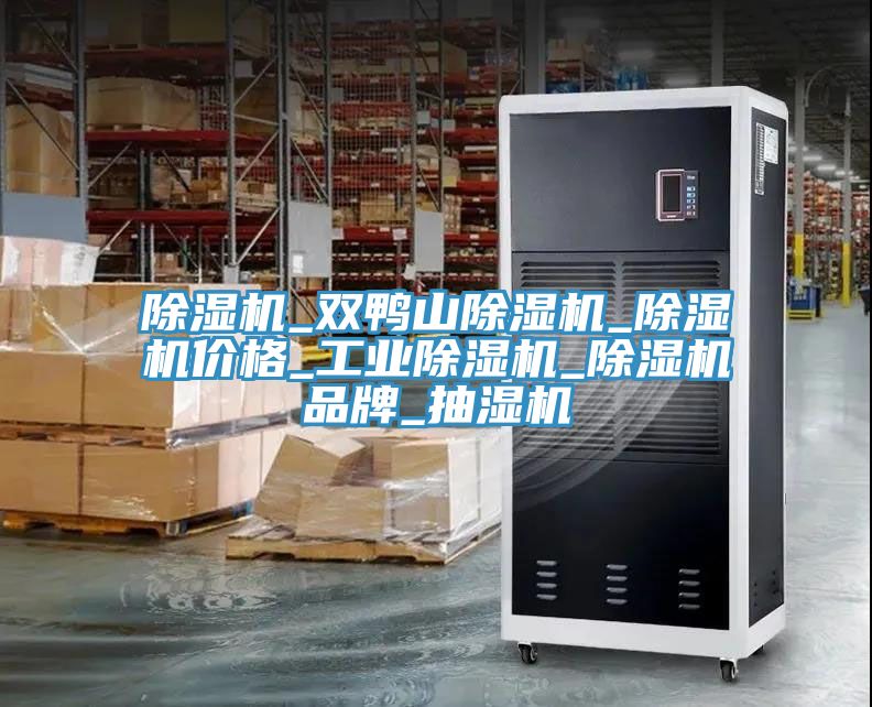 除濕機(jī)_雙鴨山除濕機(jī)_除濕機(jī)價格_工業(yè)除濕機(jī)_除濕機(jī)品牌_抽濕機(jī)