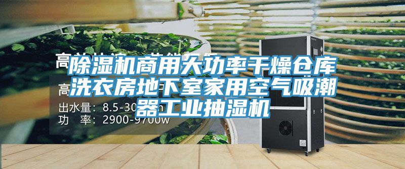 除濕機商用大功率干燥倉庫洗衣房地下室家用空氣吸潮器工業(yè)抽濕機