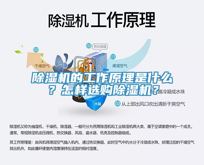 除濕機(jī)的工作原理是什么？怎樣選購(gòu)除濕機(jī)？